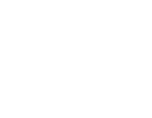 Logo SAVN blanc